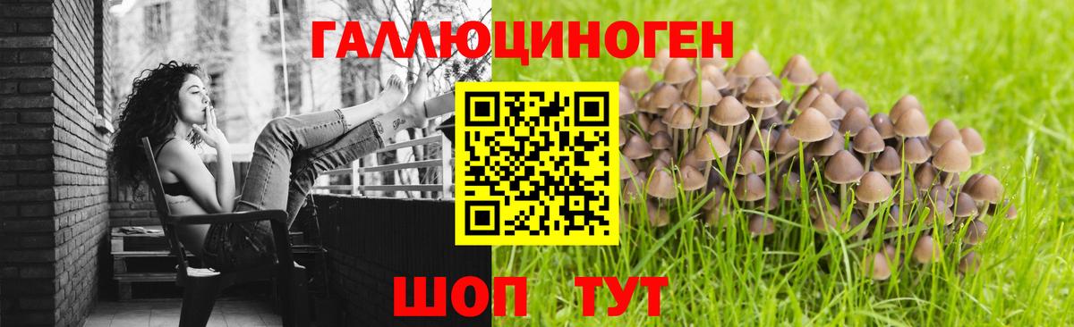 Галлюциногенные грибы Cubensis Фурманов
