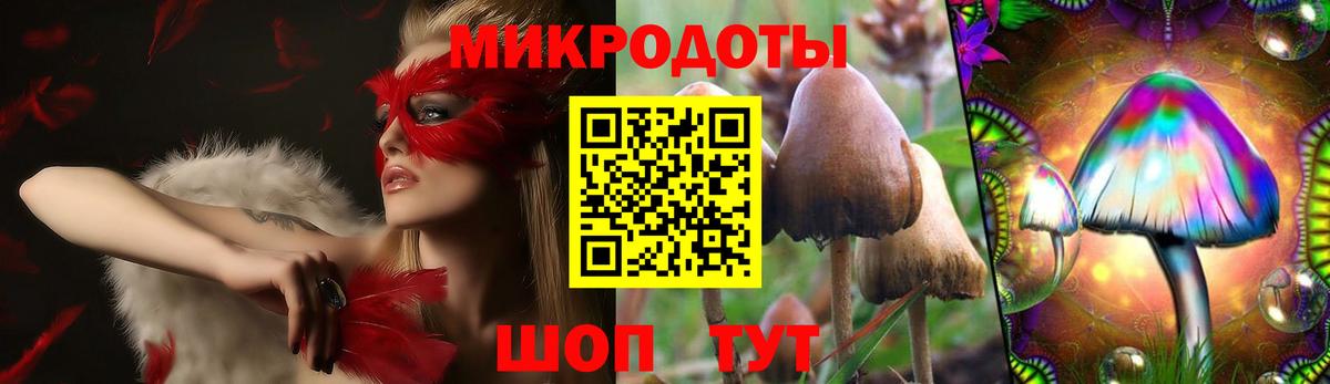 Фурманов  Псилоцибиновые грибы мухоморы  Вход с VPN 